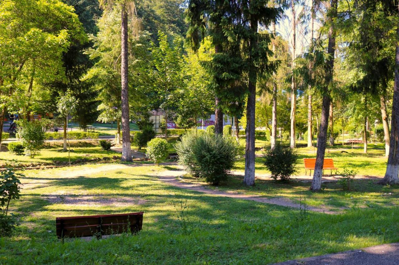 Apartament Iulia Geoagiu Băi Exterior foto